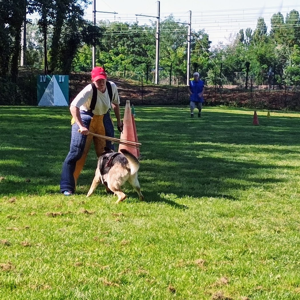Club des Amis du chien de Sucy 3